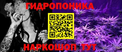 индика Беслан