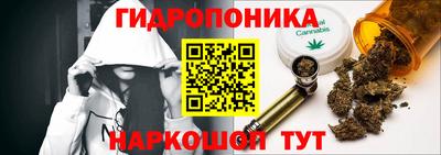 индика Беслан