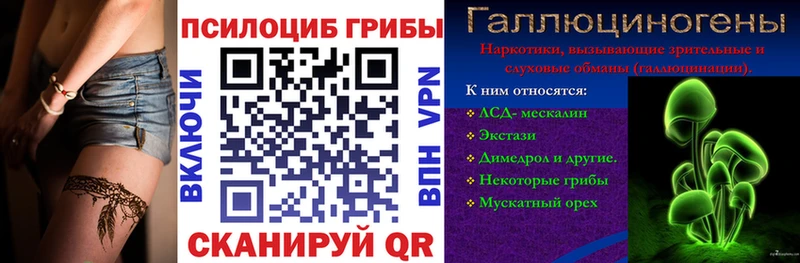 МЕГА tor Котовск Псилоцибиновые грибы Psilocybe наркота