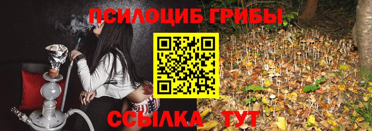 Псилоцибиновые грибы мухоморы  Котовск  Псилоцибиновые грибы ЛСД 