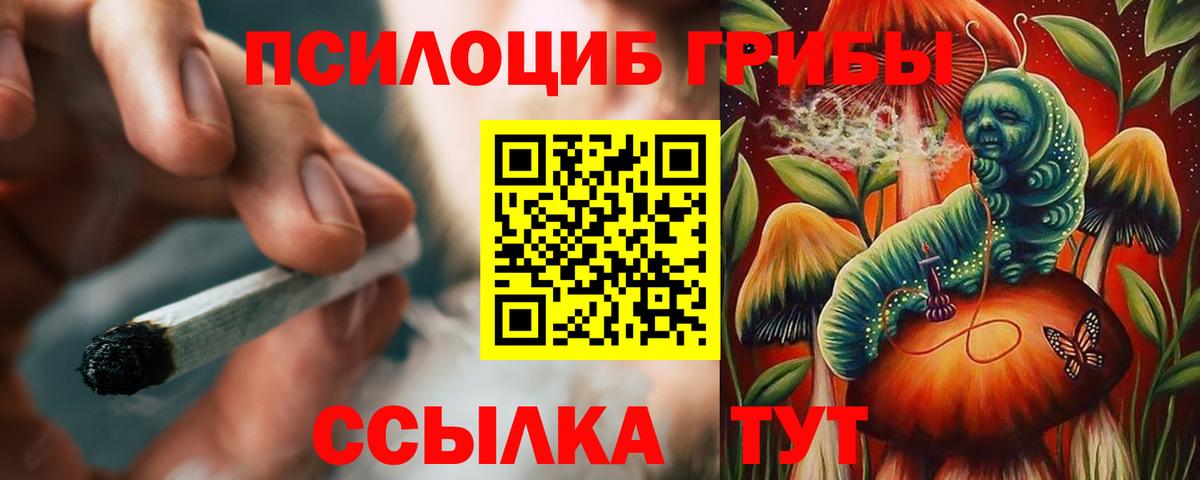 купить   Вход с VPN  Котовск  Галлюциногенные грибы мицелий  Галлюциногенные грибы GOLDEN TEACHER 
